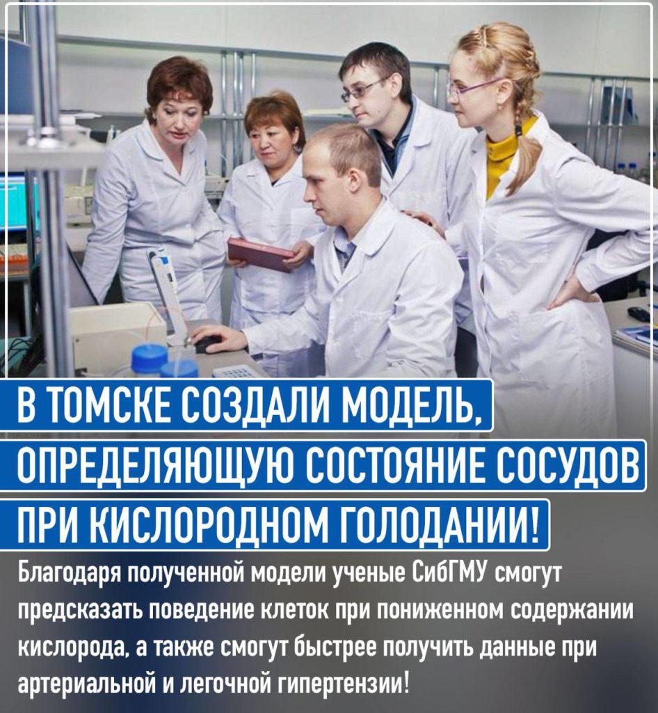 Ученые из Сибирского государственного медицинского университета смогли разработать уникальную математическую модель