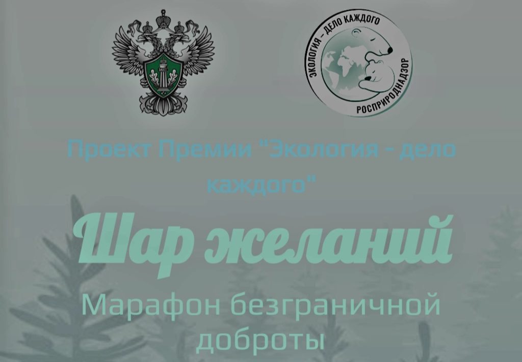 Детей и благотворителей Псковской области приглашают поучаствовать в акции «Шар желаний»