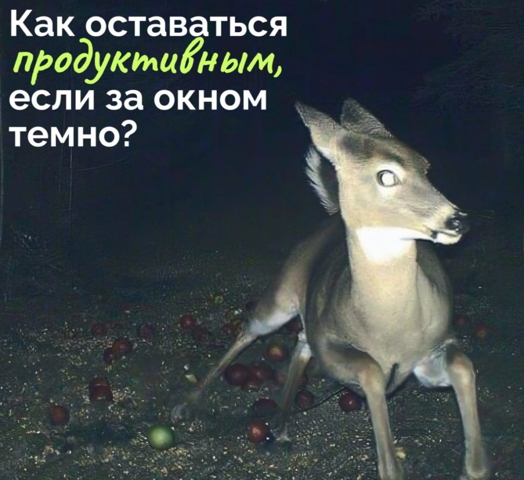 Сезонное снижение энергии и бодрости вполне закономерно. Но есть несколько способов «зарядить» свою батарейку