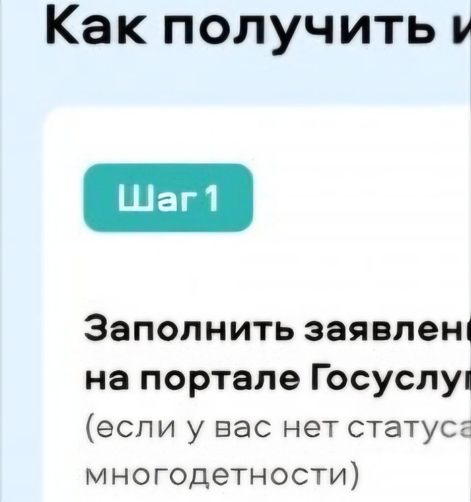 В Псковской области протестируют цифровое удостоверение для многодетных семей