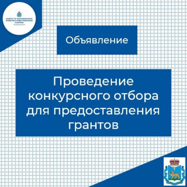 До 500 тыс рублей может получить малый бизнес Псковской области на развитие