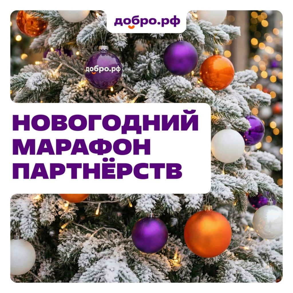 На платформе Добро.рф стартовал Новогодний марафон партнёрств