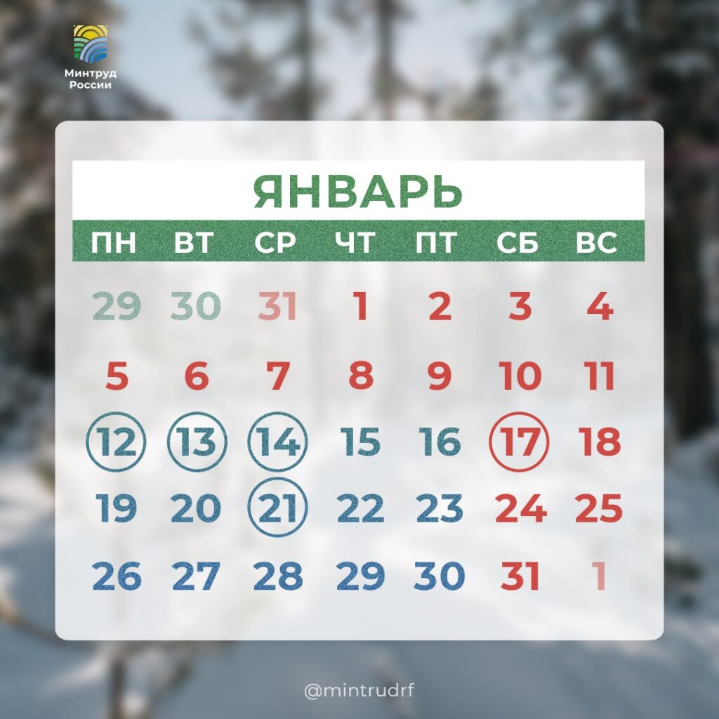 Профессиональные праздники января
