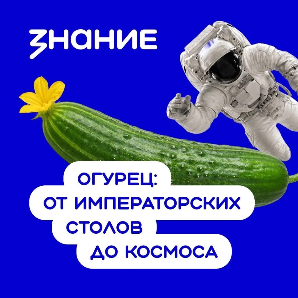 Огурец кажется самым простым овощем на тарелке, но его выращивают уже более шести тысяч лет