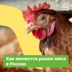Каждый россиянин в год съедает около 35 кг курятины. Спрос на птицу большой — но производители с ним справляются