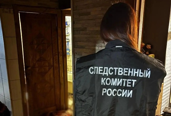 В Великих Луках местный житель обвиняется в убийстве отчима