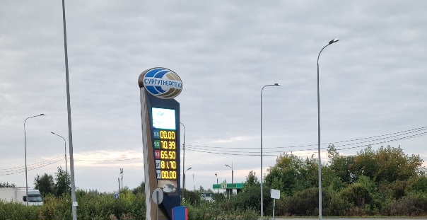 В Псковской области введены лимиты на бензин