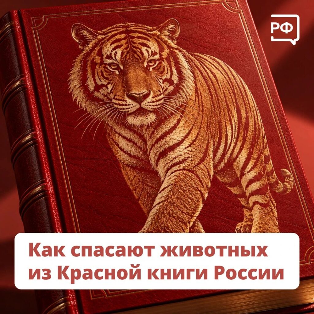 Красная книга — это список тех, кого ещё можно спасти